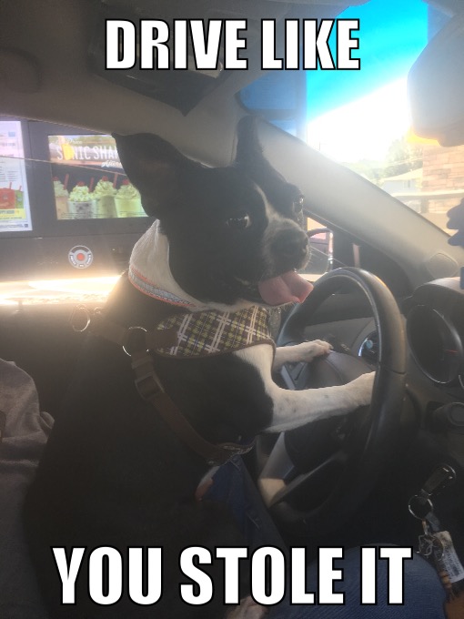 loki driving